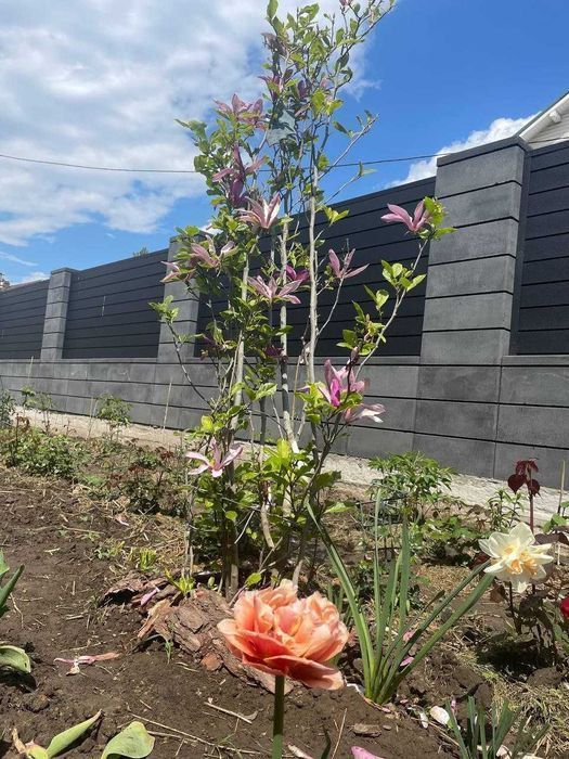 Модульні блоки. Блоки для огорожі. Будівельні блоки. Бетонні блоки.