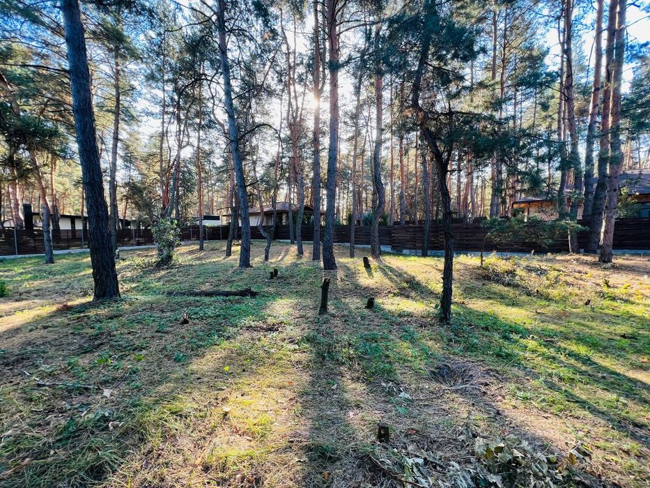 Продам участок в сосновом лесу в Обуховке закрытая территория лес река