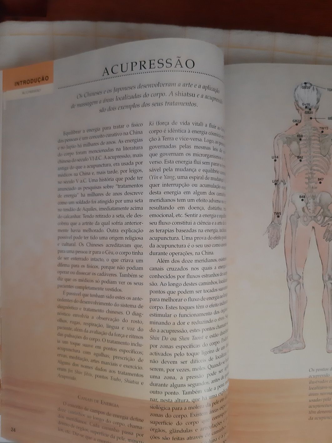 Livro massagem curso fácil * portes grátis