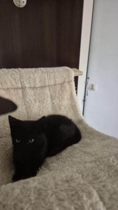 Kacperek potrzebuje domu