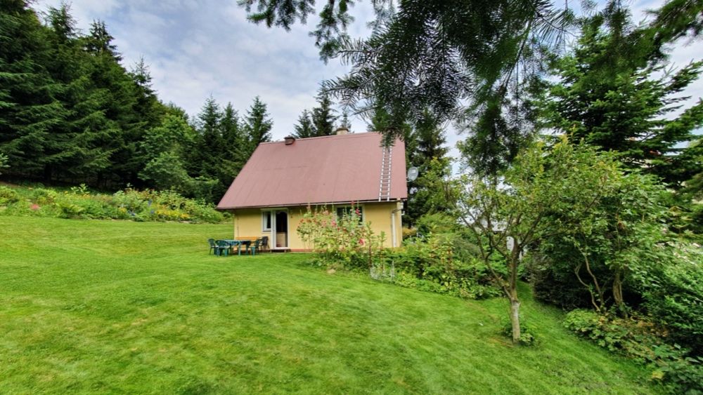 Do wynajęcia domek w Rzeczce Góry Sowie Park Krajobrazowy WAKACJE LATO