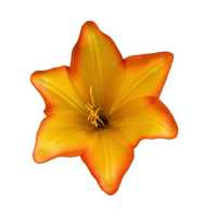LILIA 16 cm główka wyrobowa Pomarańczowe sztuczne kwiaty 12szt.