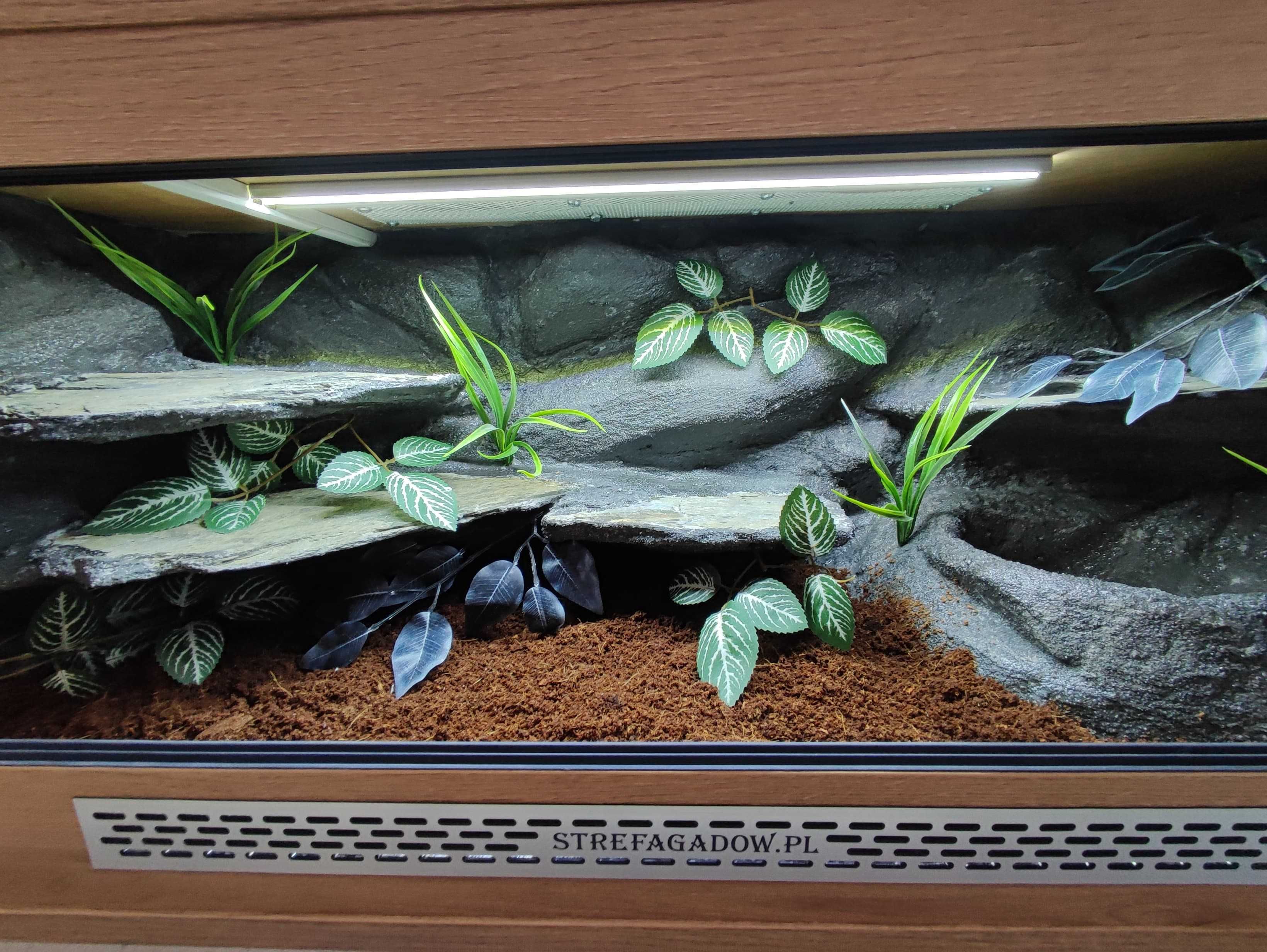 Terrarium tropikalne nr725 100/40/40 dla węża boa pyton DOSTĘPNE