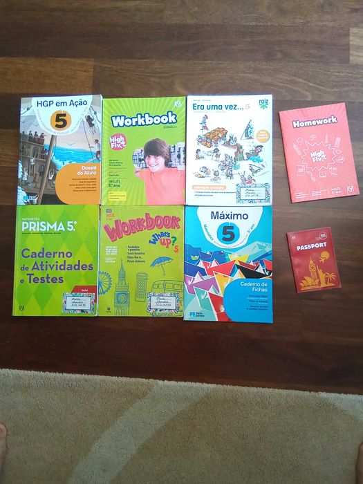 Cadernos de atividades usados 5.°ano