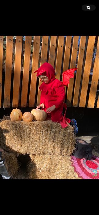 Костюми мухомор, білочка, заяць, хеллоуин на хлопчика прокат