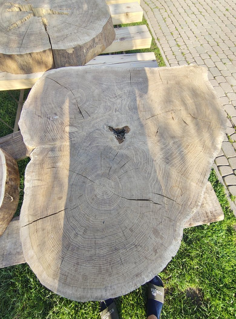 Plaster krążki drewna dąb modrzew jodła