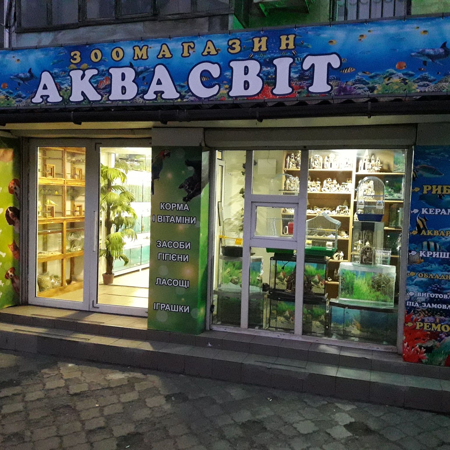 Черепаха красноухая.