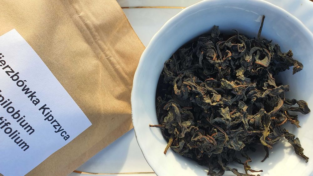 Wierzbówka Kiprzyca (Chamaenerion angustifolium) na wzmocnienie