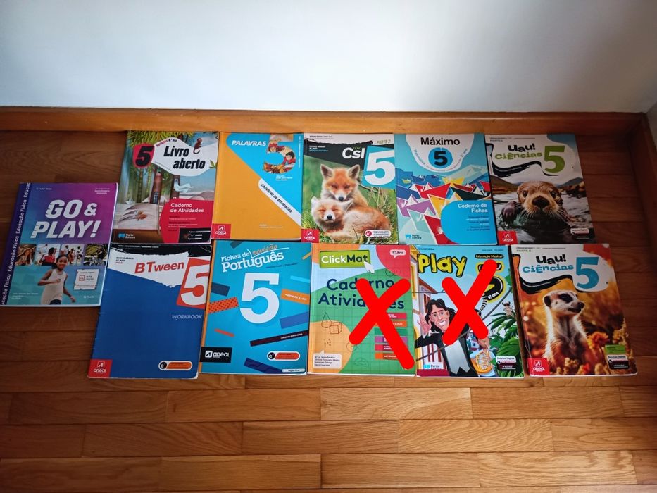 Manuais e livros de fichas/actividades 5ºano