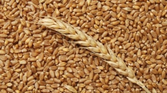 Продам пшеницу 5 грн
