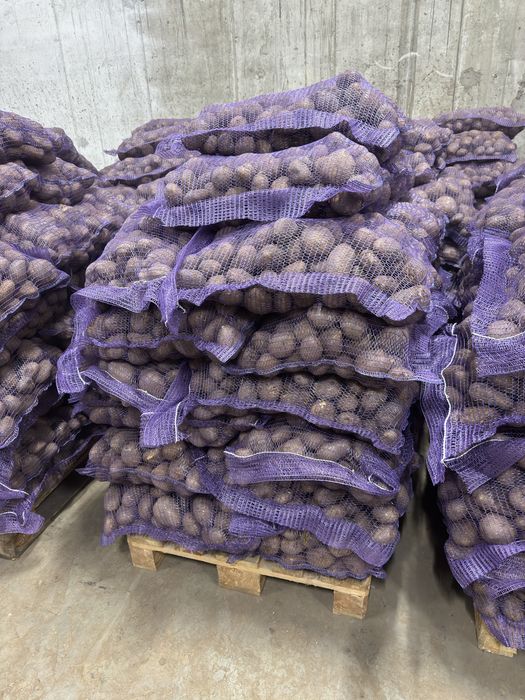 продам Картоплю від фермера