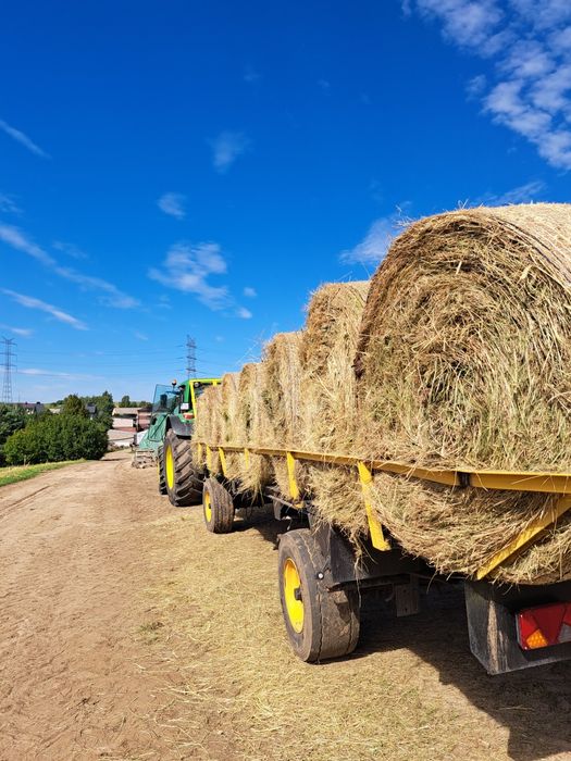 Siano dla koni / baloty siana tegorocznego / pachnące siano