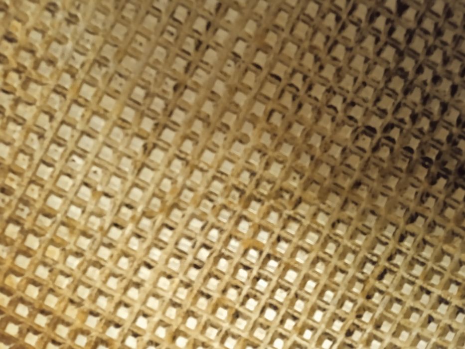 Форми Грецький горіх, СРСР