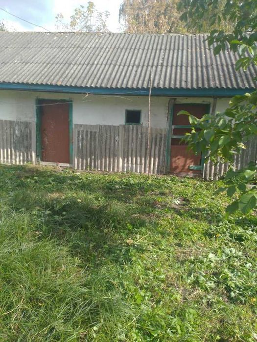 Продам будинок село Велика Дорога (Ніжин)