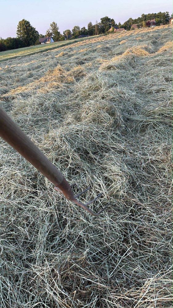 Siano dla królików chomików świnek morskich gryzoni