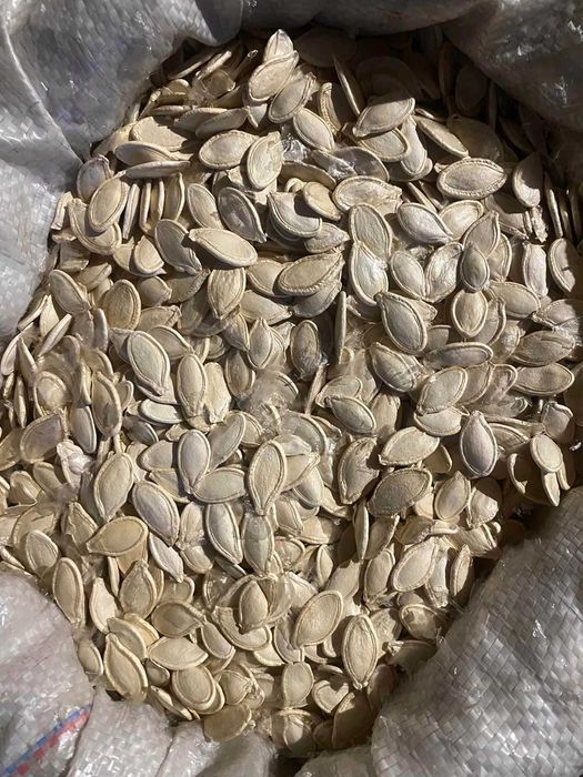 гарбузове насіння, сушене в печі