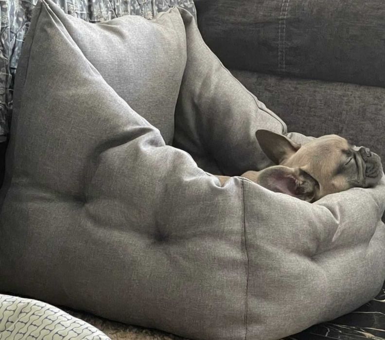 Доставка тварин, Перевезення тварин. Ужгород. Переїзд. Трансфер