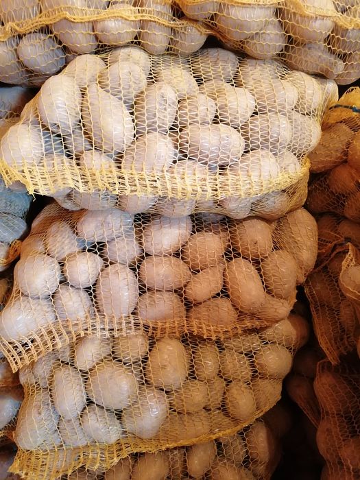 Ziemniaki jadalne pakowane po 15kg