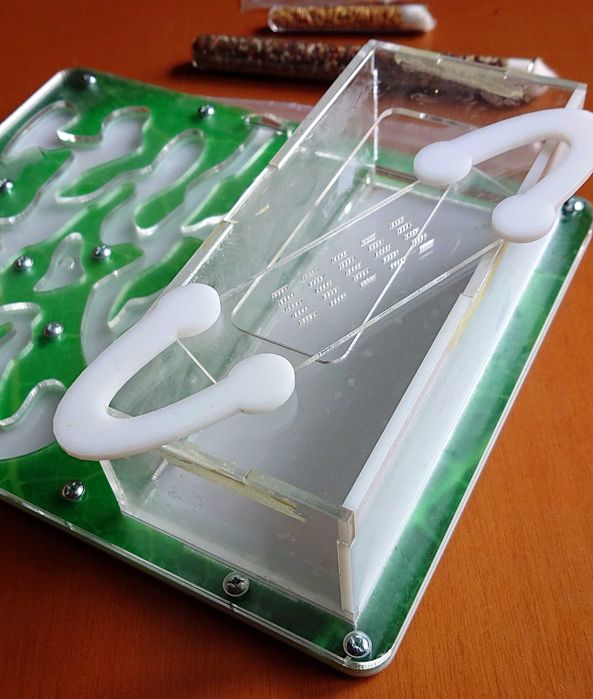 Формікарій Ant City