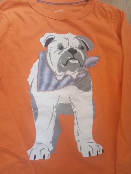 Реглан, Лонгслив Carter's Old navy 5 лет