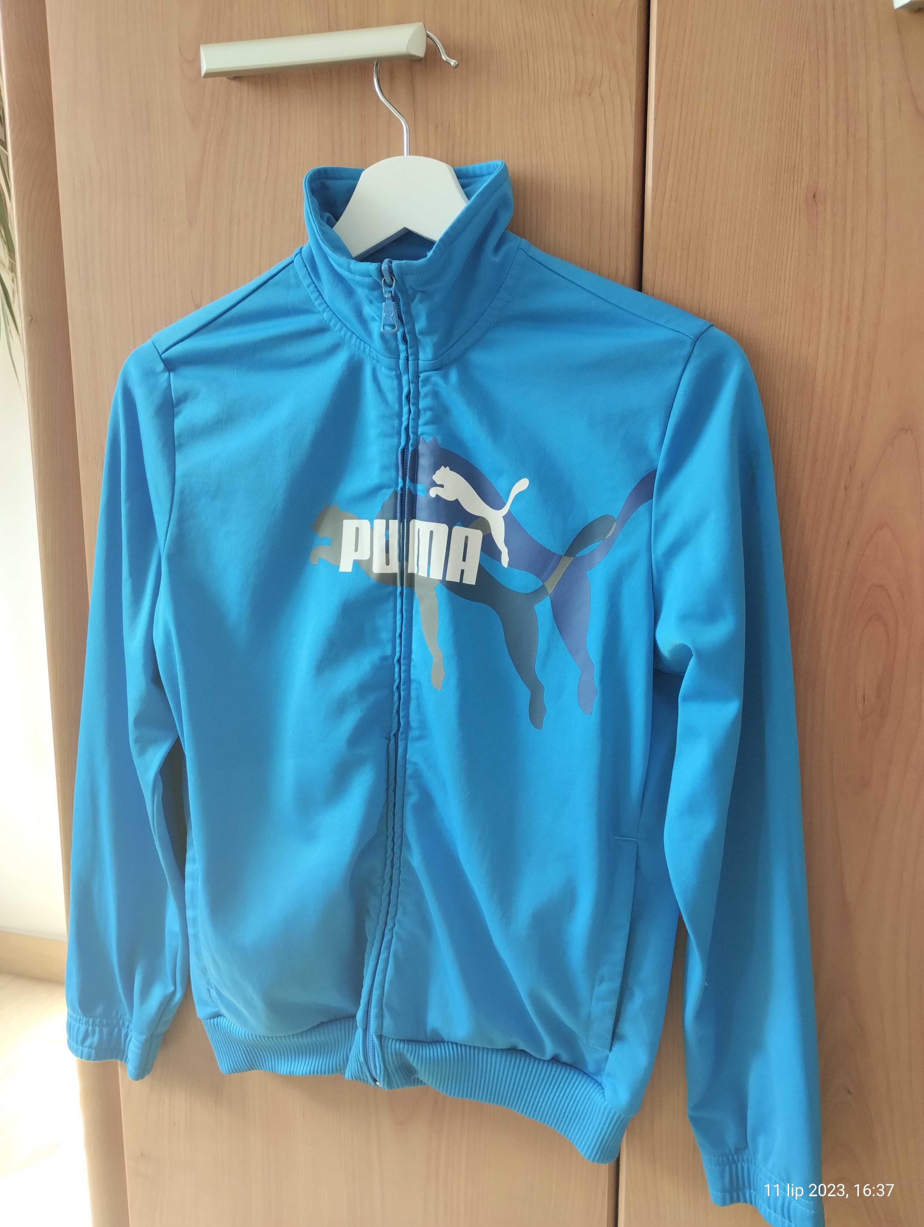 Bluza chłopięca PUMA roz. L 152