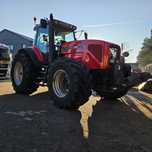 Massey ferguson 8270 Oryginał sprowadzony