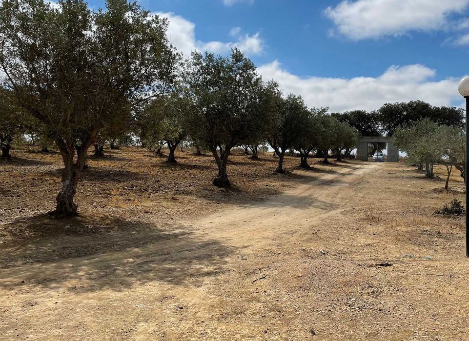 Herdade mista com 50000mt