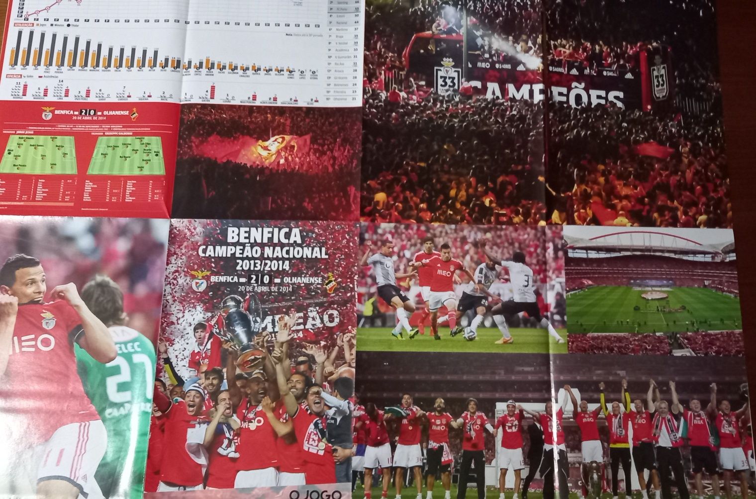 poster Benfica campeão nacional 2013/2014