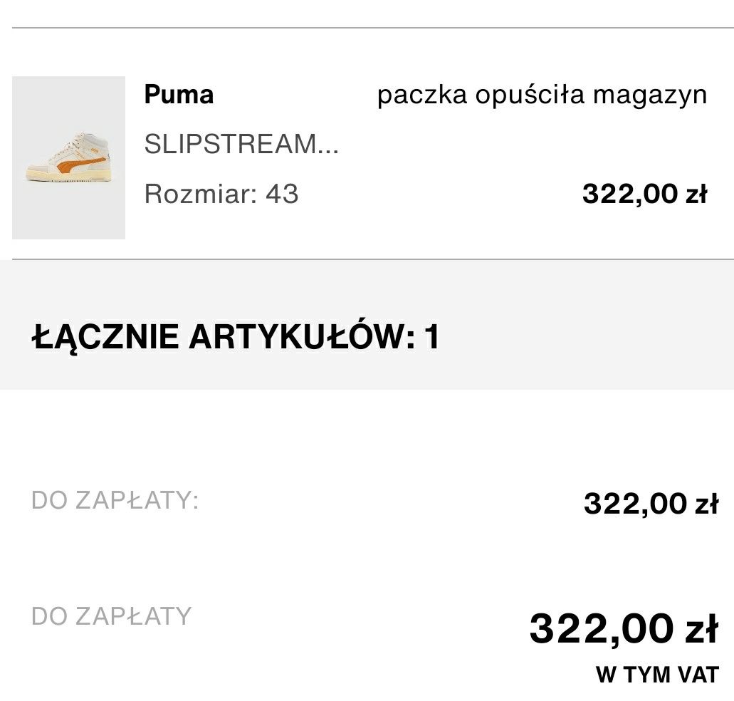 Buty Puma Slipstream 43