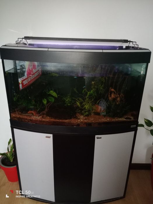 Vendo aquário grande com móvel, com tudo incluído .