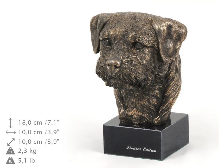 Border Terrier głowa na kamieniu Art-Dog