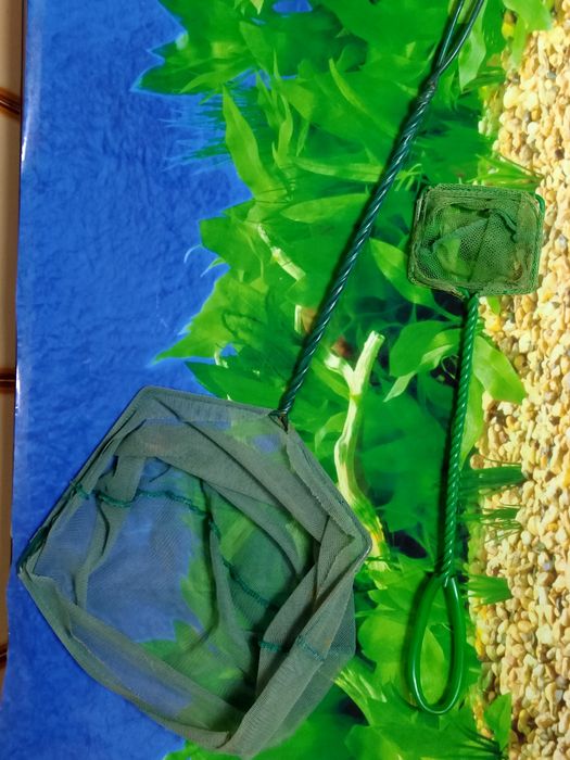 Acessorios para aquario de peixes