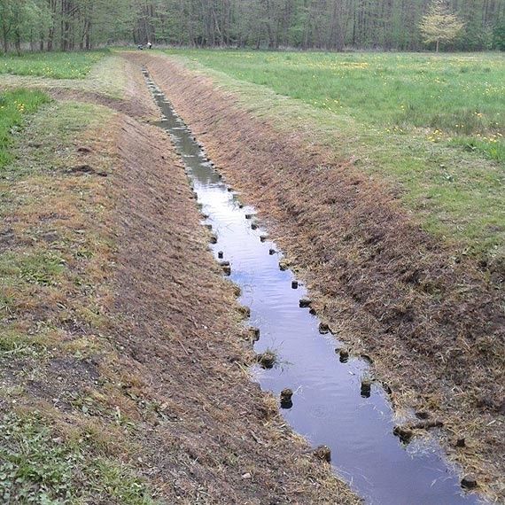 Witam zajmujemy się koszeniem traw koszeniem rowów meroracyjnych wycin