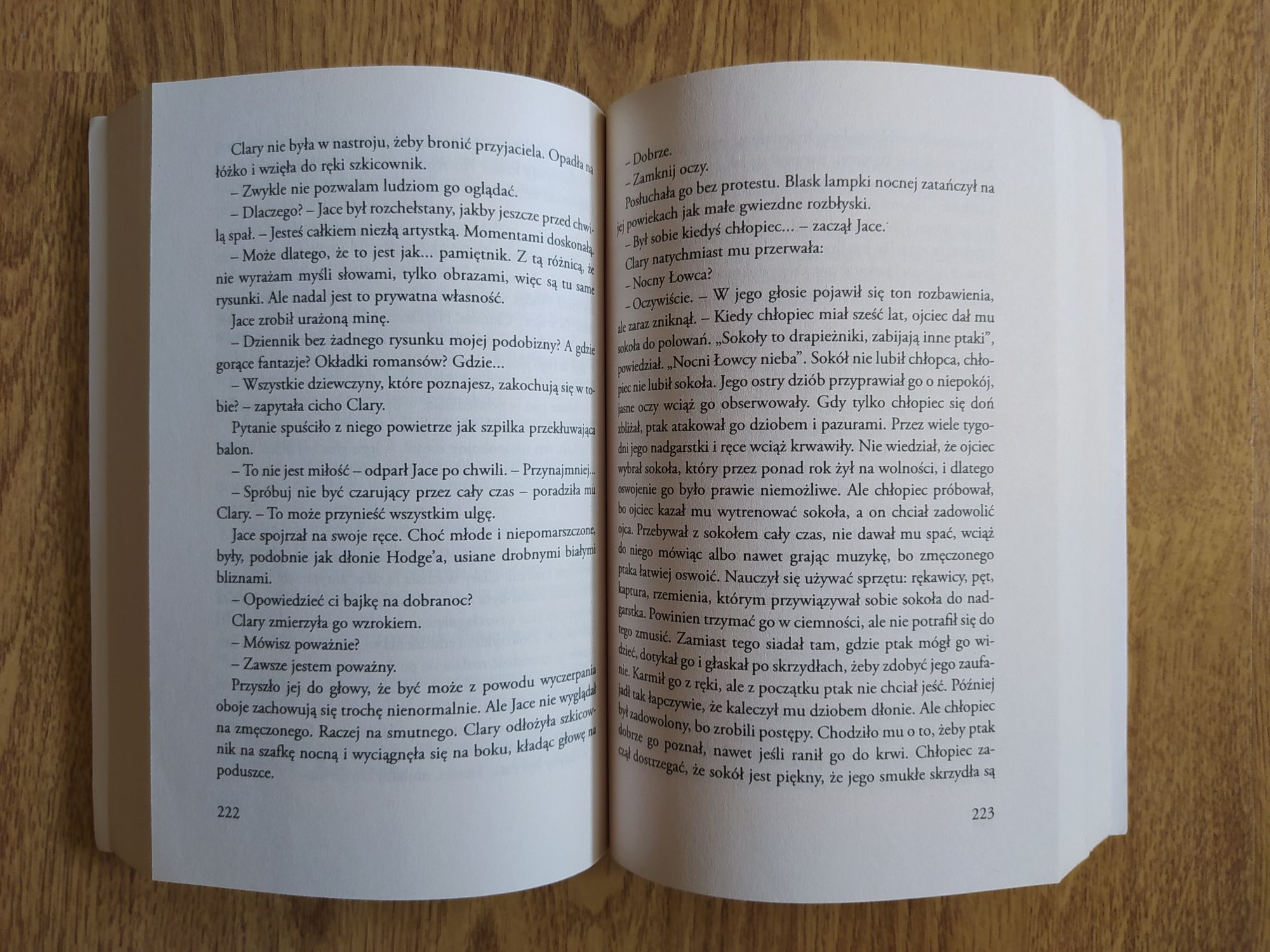 'Miasto Kości' Cassandra Clare (tom 1)