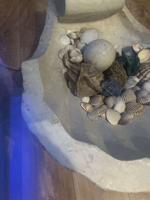 Stolik muszla kawowy design kamień naturalny  nietypowy stół muszelki