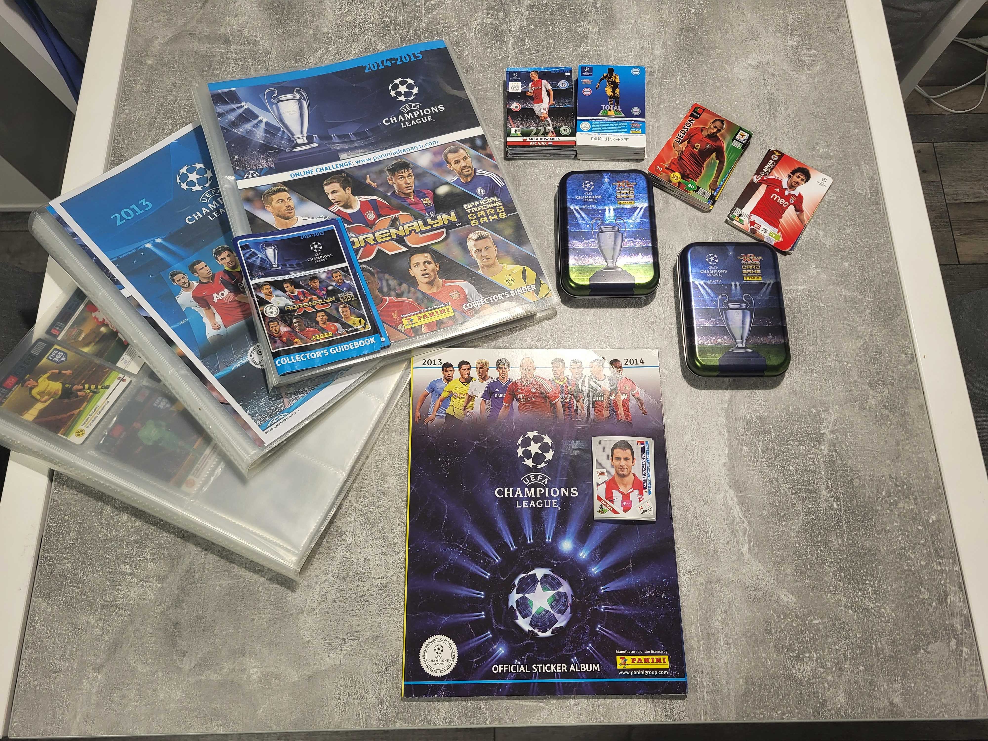 Karty Piłkarskie Panini 2010 - 2016