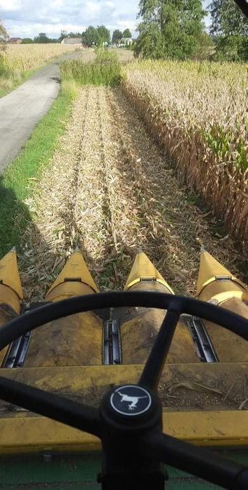 Usługi Rolnicze Uprawa siew zbiór kukurydzy transport