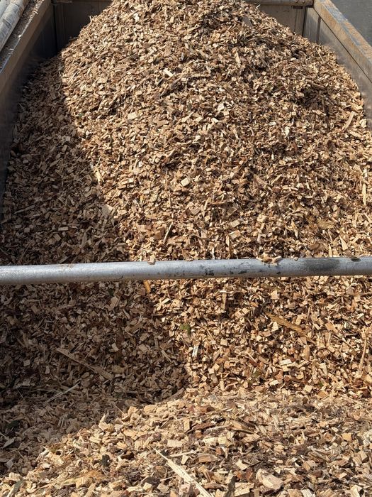 Продам тріску-щепу великі обєми