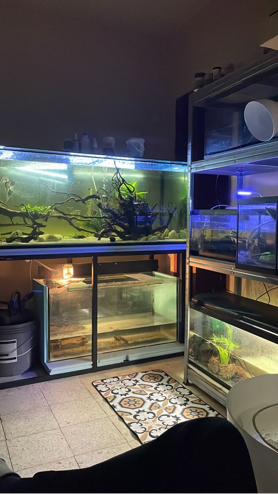 Troco Aquario com estrutura