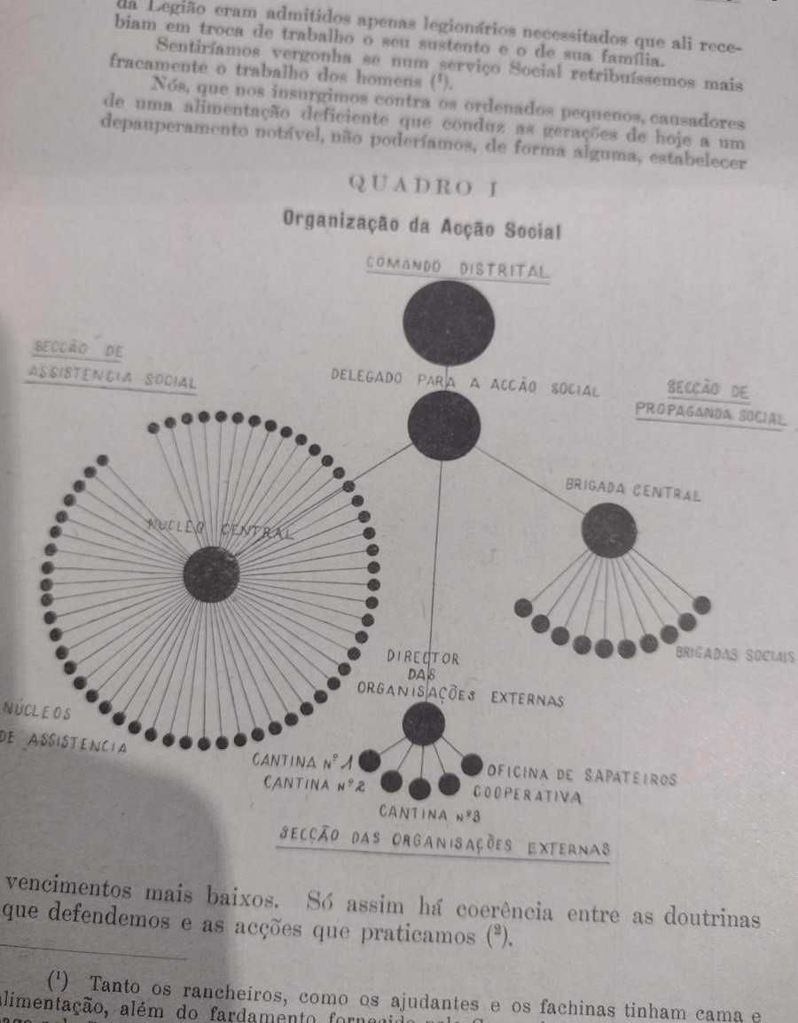 Um Serviço Social - "Legião Portuguesa" 1940 M. da Silva Leal