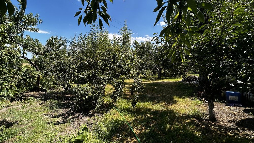 Продам будинок в передмісті Кременчука