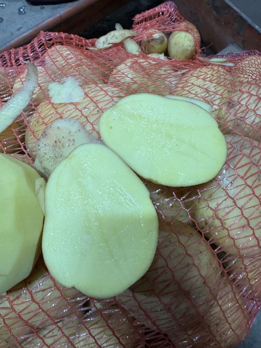 продам Картоплю від фермера