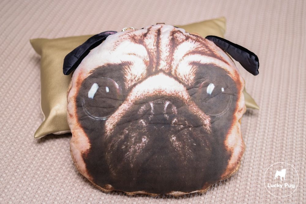 Almofada + Manta Pug