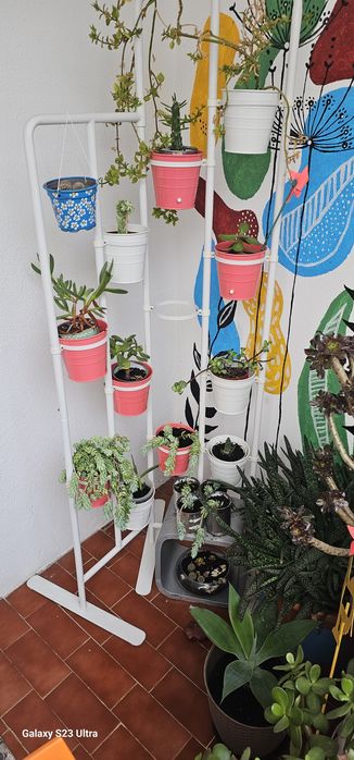 Expositor de plantas