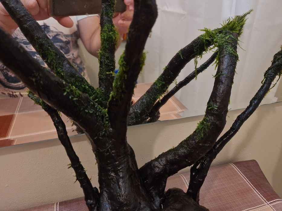 Korzeń Dark Wood z życiem, piękna tekstura drewna, doda uroku akwarium