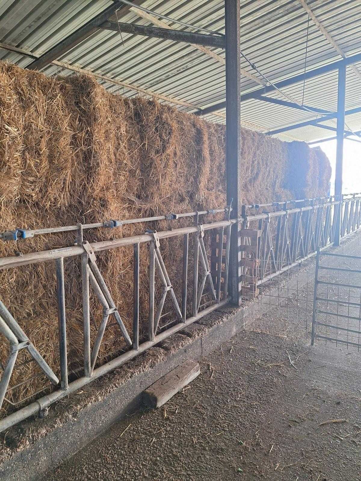Vendo Fardo de Palha de Trigo 250Kg
