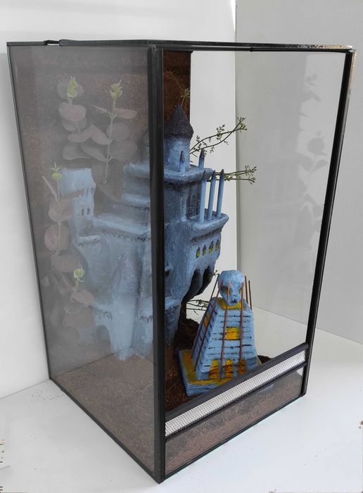 Terrarium dla gekonów płaczących, modliszki, TW08N AuqaWaves