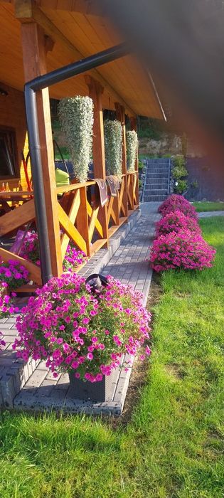 LEŚNA CHATKA Domek letniskowy do WYNAJĘCIA