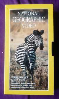 Kaseta video VHS National Geographic Koń w paski