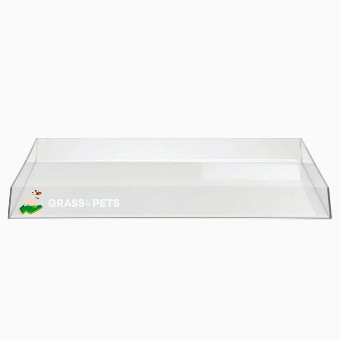 GRASS4PETS! Relva natural para os seus patudos!